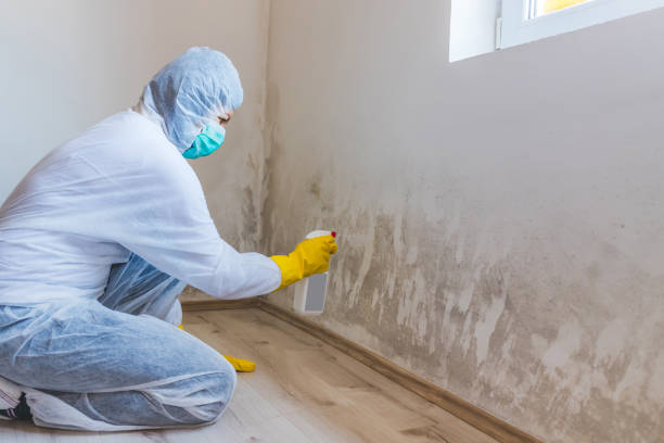 Licensed Hvac And Air Duct Mold Remediation service in Lancaster, TX - 24 Hour Mold Removal